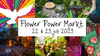 Photo of Weekendtip: Flower Power Markt Buitenpost