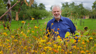 Photo of Henk Dillerop